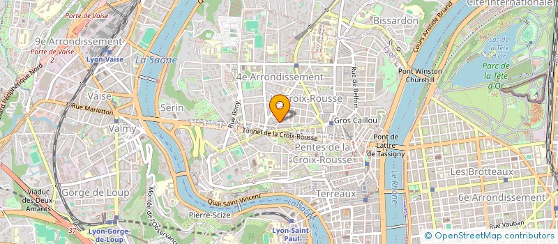 localisation de l'entreprise RHIZOM à LYON