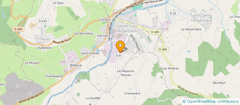 localisation de l'entreprise RHONE ALPES INDUS à SAINTE-FOY-L'ARGENTIERE