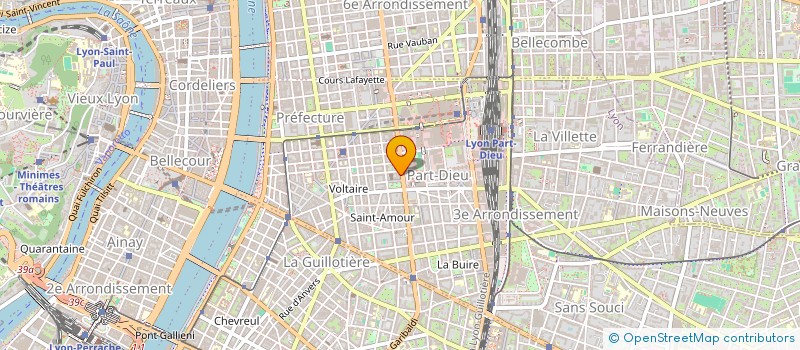 localisation de l'entreprise RHONE COURRIER SERVICES à LYON