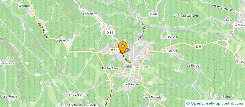 localisation de l'entreprise RHONE-SAONE PAYSAGE  VILLIE MORGON