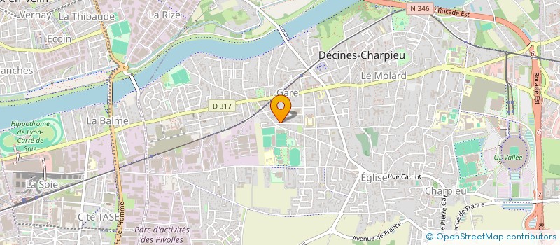 localisation de l'entreprise RIAM TAXI  DECINES-CHARPIEU