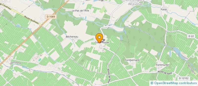 localisation de l'entreprise RIBEIRO SEIXAS  LES ARTIGUES-DE-LUSSAC