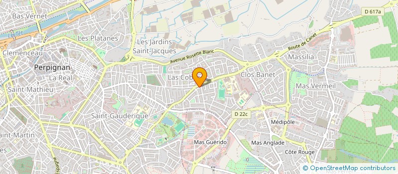 localisation de l'entreprise RIBES IMMOBILIER  PERPIGNAN