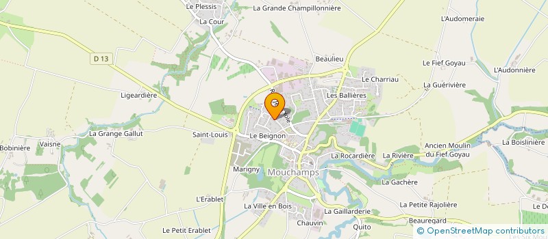 localisation de l'entreprise RIC  MOUCHAMPS