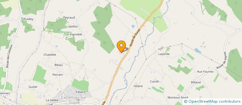 localisation de l'entreprise RICA  CASTELNAU-SUR-GUPIE