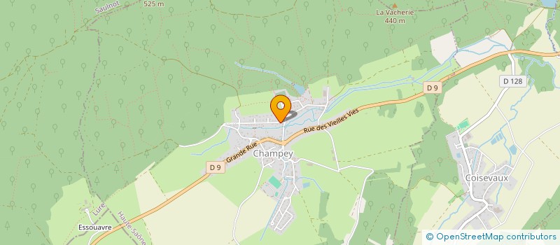 localisation de l'entreprise RICHARD FAMILY  CHAMPEY