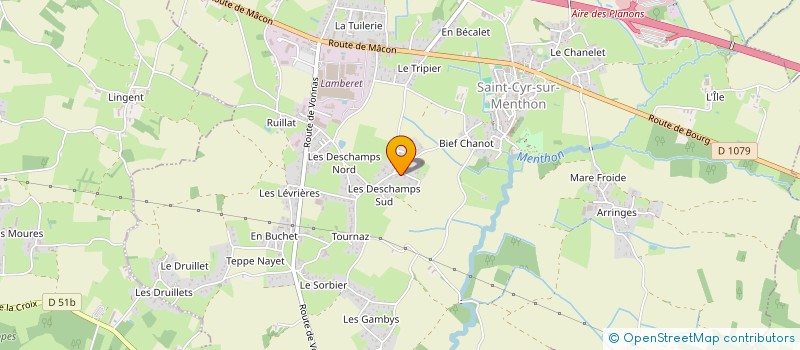 localisation de l'entreprise RICHARD GOUBY PATRIMOINE ET INVESTISSEMENTS  SAINT-CYR-SUR-MENTHON