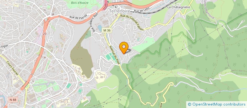 localisation de l'entreprise RICHARD MICHEL  SAINT-ETIENNE