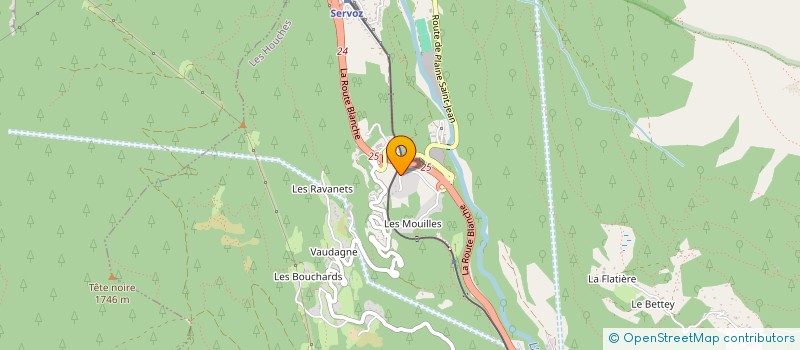 localisation de l'entreprise RICHARD RAVANEL  LES HOUCHES