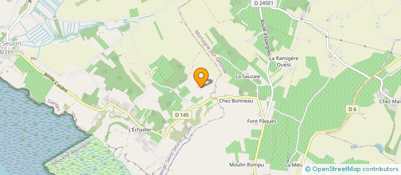 localisation de l'entreprise RICHARDERIE 165  CHENAC-SAINT-SEURIN-D'UZET