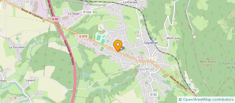 localisation de l'entreprise RICHER à CEYZERIAT