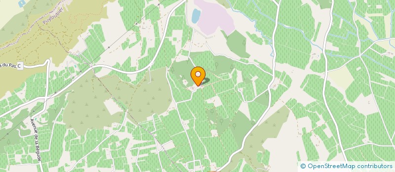 localisation de l'entreprise RICM  PUYLOUBIER