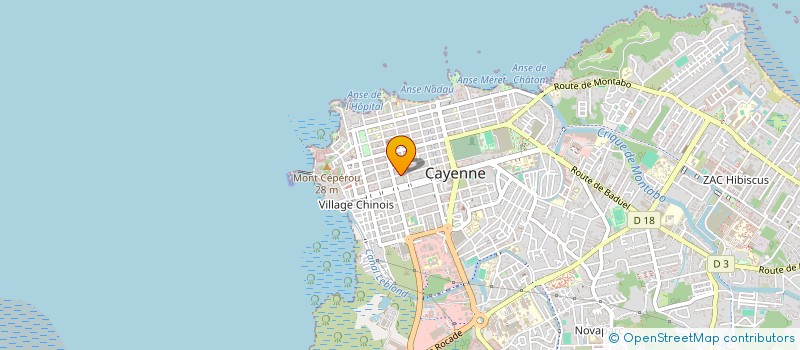 localisation de l'entreprise RICMU ESTHETIC à CAYENNE