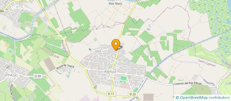 localisation de l'entreprise RICO.IMMO  ALENYA