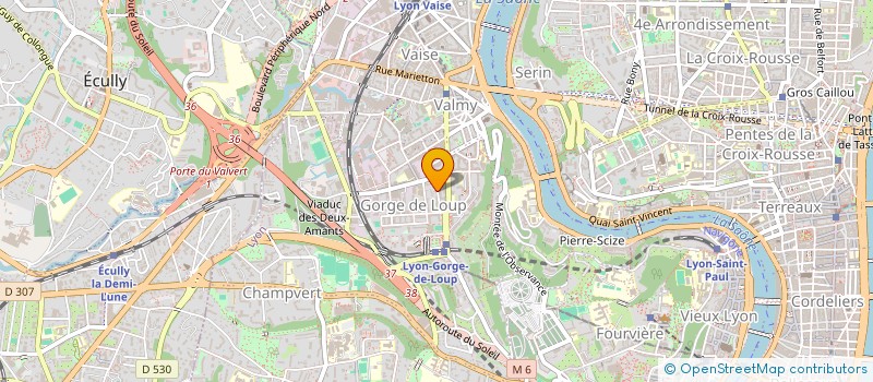 localisation de l'entreprise RICOSI  LYON