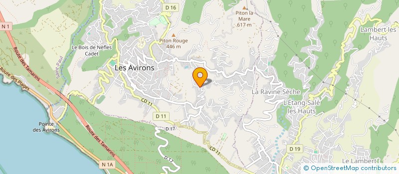 localisation de l'entreprise RIDELICIOUS SKATEBOARD  LES AVIRONS