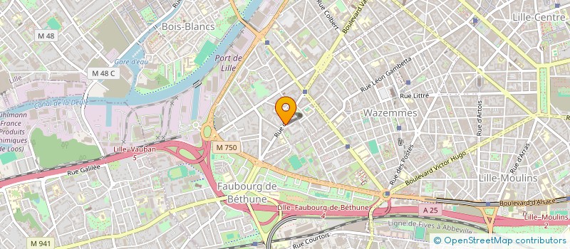 localisation de l'entreprise RIGOR MORTIS  LILLE