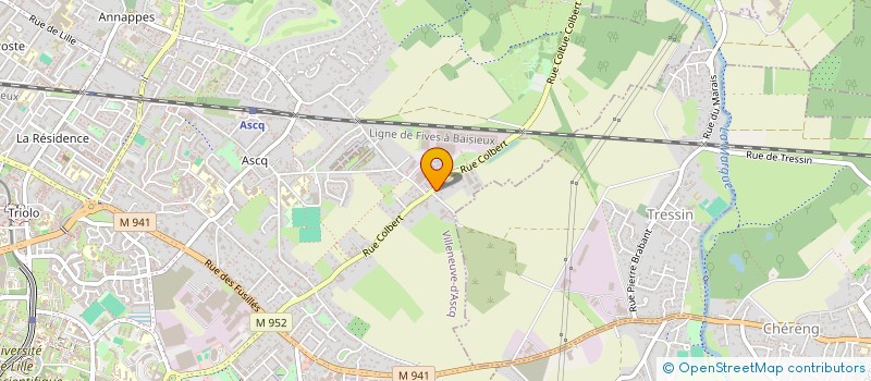 localisation de l'entreprise RINGOTTE CAROLINE PSYCHOLOGUE à VILLENEUVE D ASCQ