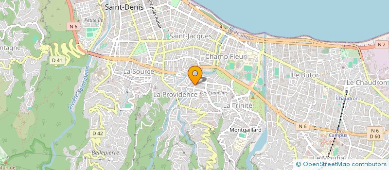 localisation de l'entreprise RINKA  SAINT-DENIS