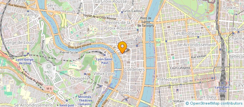 localisation de l'entreprise RIPAILLE à LYON
