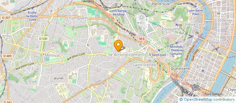 localisation de l'entreprise RIPTIDE MUSIC  LYON