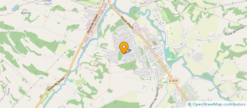 localisation de l'entreprise RIQUET SERVICES  PAVIE