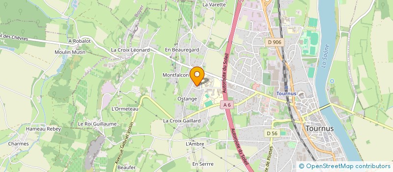 localisation de l'entreprise RIS à TOURNUS