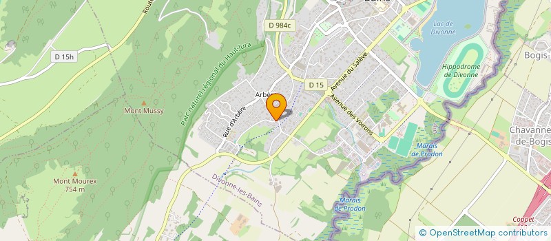 localisation de l'entreprise RITA  DIVONNE-LES-BAINS