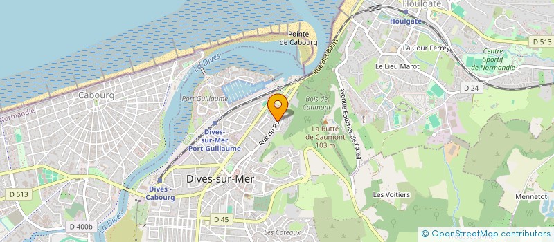 localisation de l'entreprise RITZ INVESTISSEMENT  DIVES-SUR-MER