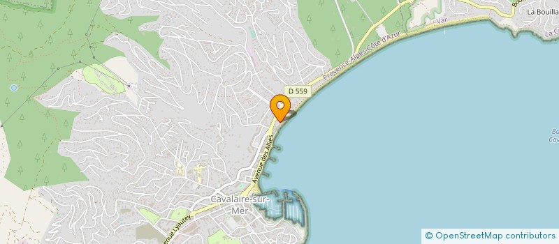 localisation de l'entreprise RIVAZUR DL à CAVALAIRE-SUR-MER