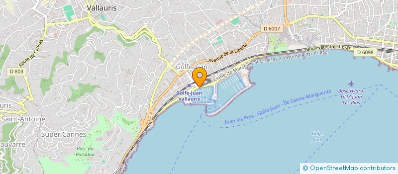 localisation de l'entreprise RIVIERA DREAM  VALLAURIS