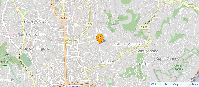 localisation de l'entreprise RIVIERA DREAM HOLDING  CANNES