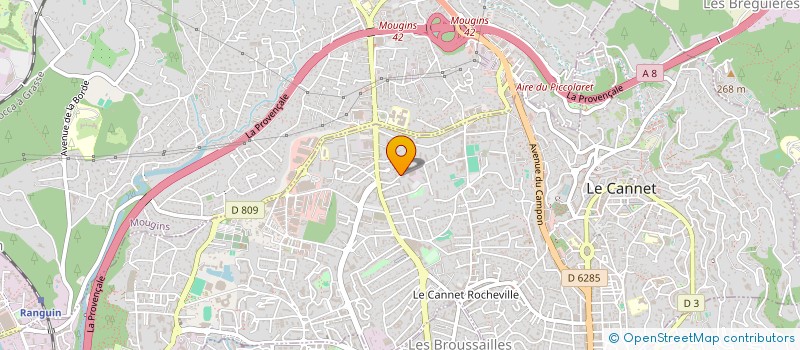 localisation de l'entreprise RIVIERA DRIVER SERVICES à LE CANNET