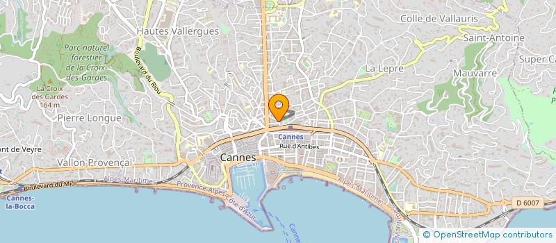 localisation de l'entreprise RIVIERA GENERAL SERVICES à CANNES