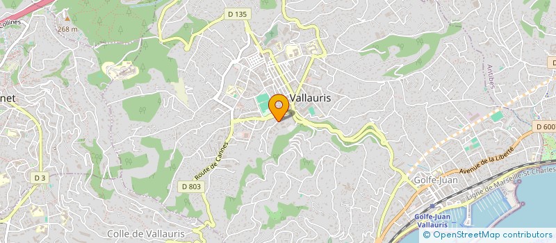 localisation de l'entreprise RIVIERA GOLD SERVICES  VALLAURIS