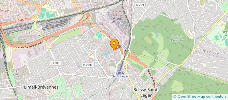 localisation de l'entreprise RIZOU ECOLAVAGE à BOISSY-SAINT-LEGER