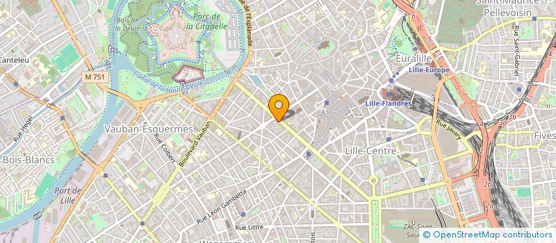 localisation de l'entreprise RL INVEST  LILLE