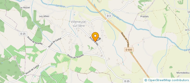 localisation de l'entreprise RL SERVICES 81  VILLENEUVE-SUR-VERE