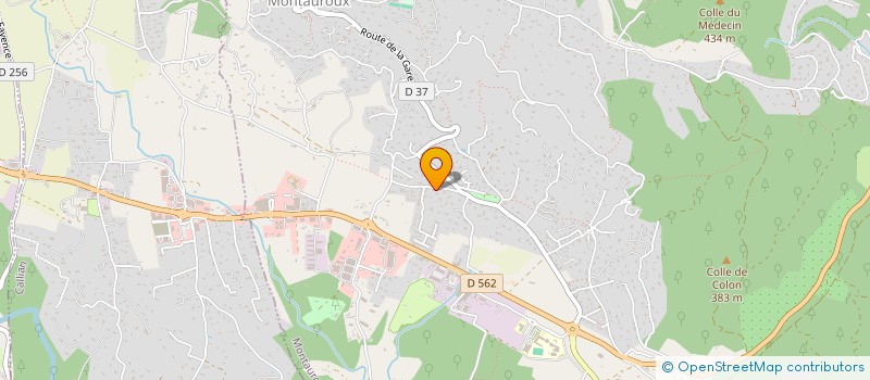 localisation de l'entreprise RM CLEAN SERVICES  MONTAUROUX