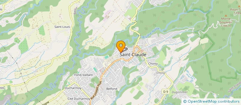 localisation de l'entreprise RM HOLDIN à SAINT-CLAUDE