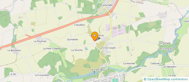 localisation de l'entreprise RM IMMO  SAINT-THURIAL