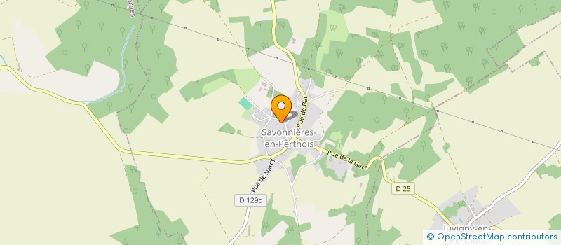 localisation de l'entreprise RM SERVICES à SAVONNIERES-EN-PERTHOIS