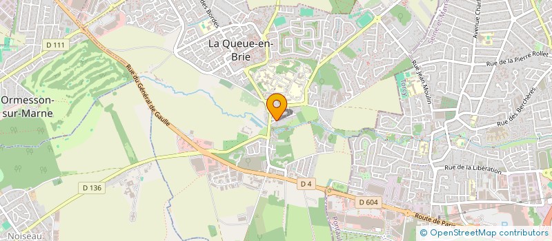 localisation de l'entreprise RMNEGOCE INTERNATIONAL à LA QUEUE-EN-BRIE