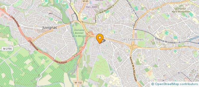 localisation de l'entreprise RNCO ASSET MANAGEMENT  MONTPELLIER