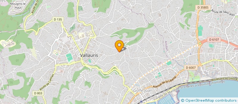 localisation de l'entreprise RO INVEST  VALLAURIS