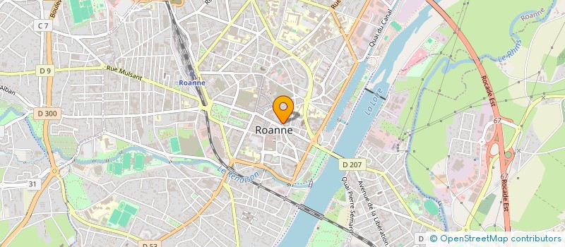 localisation de l'entreprise ROANNE DISCOUNT OPTIQUE à ROANNE
