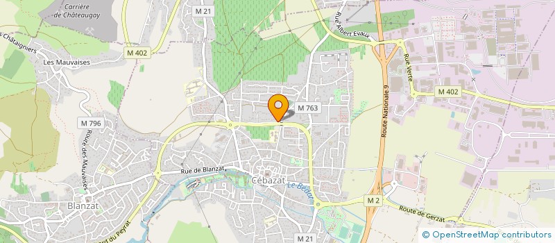 localisation de l'entreprise ROANNE PUB  CEBAZAT