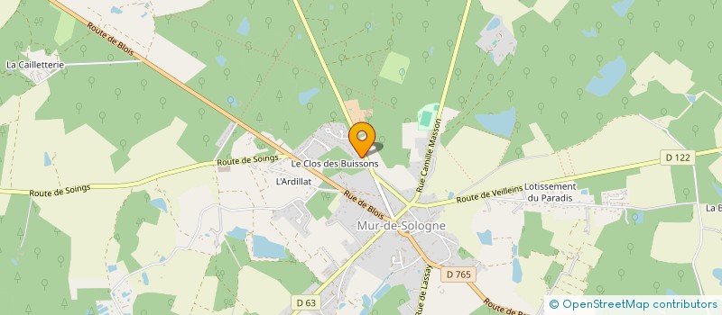 localisation de l'entreprise ROBIN BAUDIN PISCINE  SOINGS EN SOLOGNE