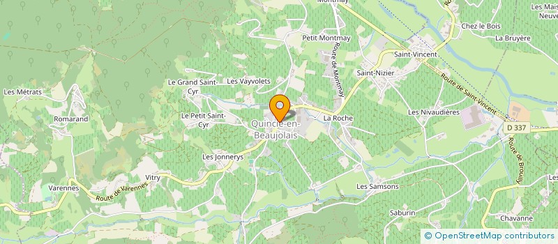 localisation de l'entreprise ROCHE LIONEL CARRELEUR  SAINT-DIDIER-SUR-BEAUJEU