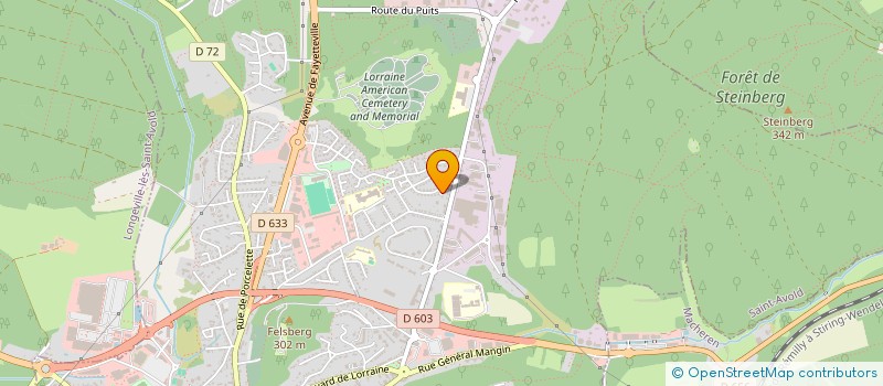 localisation de l'entreprise ROCK IMMOBILIER  SAINT-AVOLD